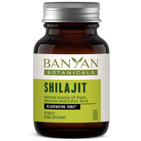 Shilajit Tablets 90 tablets