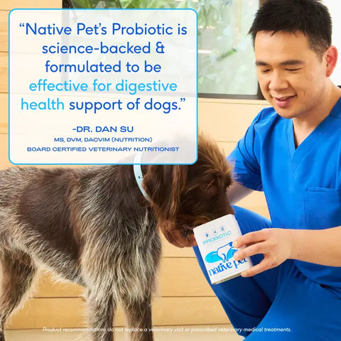 Probiotic & Prebiotic Powder Vet-Formulated Supplement (6B CFUs)