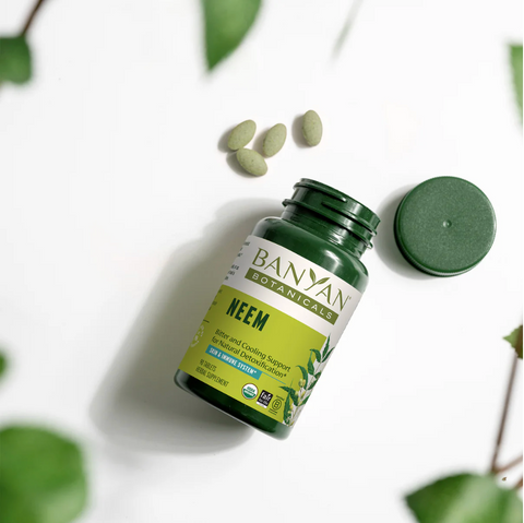 Neem 90 Capsule