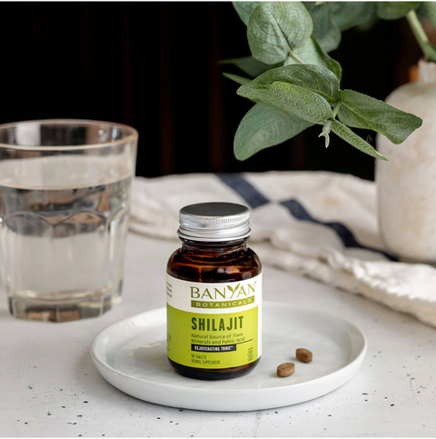 Shilajit Tablets 90 tablets