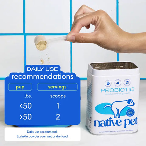 Probiotic & Prebiotic Powder Vet-Formulated Supplement (6B CFUs)