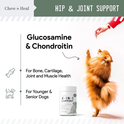 4-in-1 Support Pet Supplement For Cats/Dogs