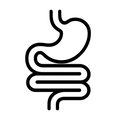DIGESTIVE IN SIMPLE ICON IN BLACK AND WHITE