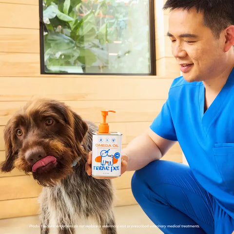 Omega-3 Fish Oil, Skin & Coat Health Supplement For Dogs
