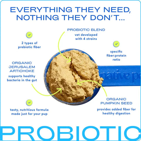 Probiotic & Prebiotic Powder Vet-Formulated Supplement (6B CFUs)